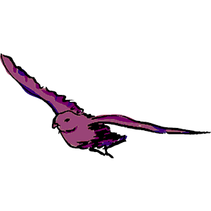 Bird Flying 02