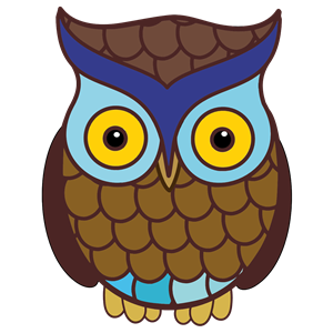 Wide Eyed Owl