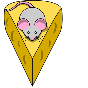Grey Mouse With Cheese