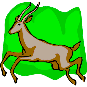 Gazelle 1
