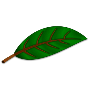 More complex leaf