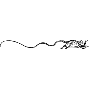 mouse with a very long tail