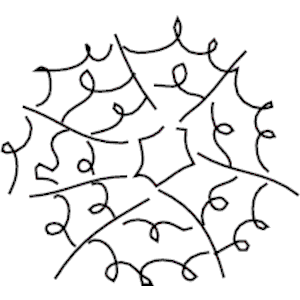 Spider Web Loops