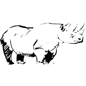 Rhino 5