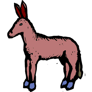 Donkey 08