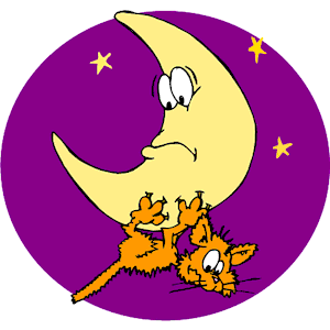 Cat Clinging to Moon