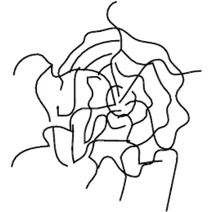 Spider Web Tangled