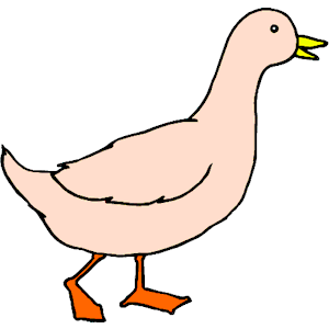 Duck 67