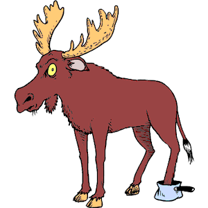 Moose Stuck in Pan