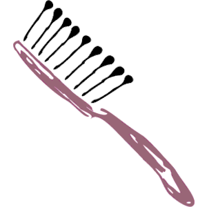 Hairbrush 06