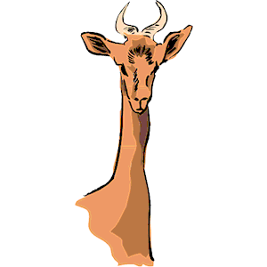 Antelope 07
