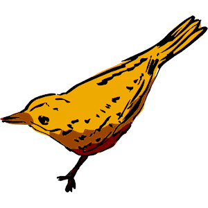 Bird 09