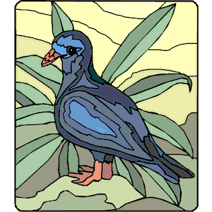 Pigeon 10