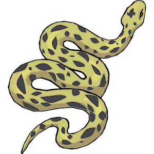 Snake 18