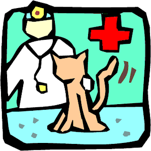 Cat Watching A Doctor