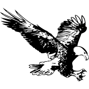 Eagle 40