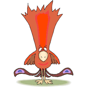 Bird - Featherhead