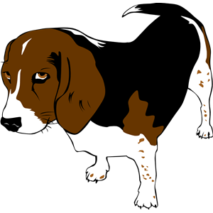 beagle copper ganson