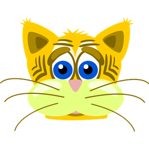 Sad tiger cat