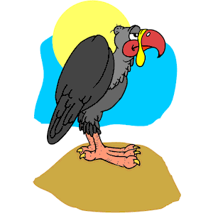 Vulture 04