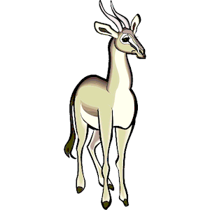 Gazelle 2