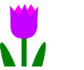 Totetude Purple Tulip