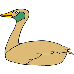 Duck 003