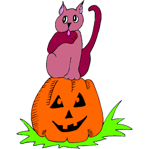 Cat on Pumpkin 1
