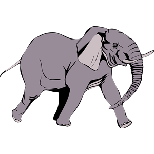 Architetto -- Elefante in corsa