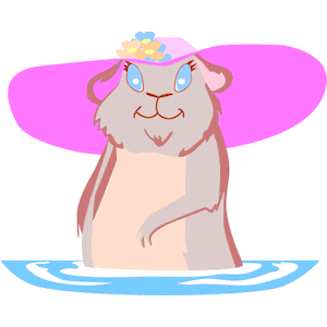 Otter with Hat