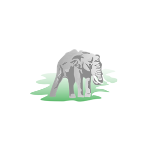 elephant 01