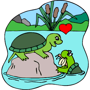 Loving turtles