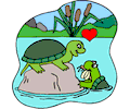 Loving turtles