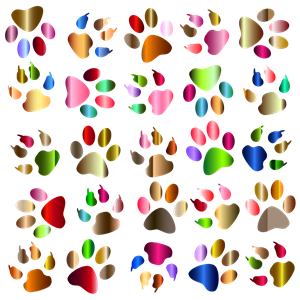 Colorful Paw Prints Pattern Background Reinvigorated No Black background