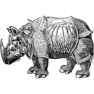Armor Rhino