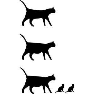 cat icons