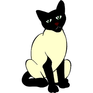Cat 12