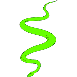 Snake 05