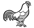 cock - lineart