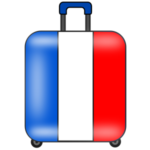 maleta suitcase