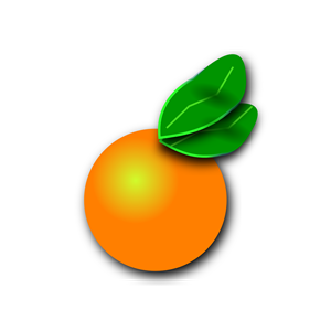 Florida Orange Citrus