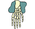 Hand 4