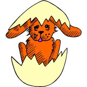 Bunny in Egg 4