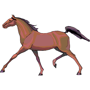 Horse Galloping