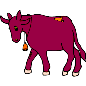 Cow 33