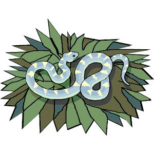 Snake 11