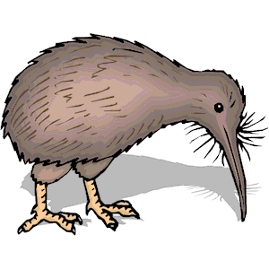 Kiwi Bird 5
