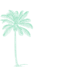 Mint Palm