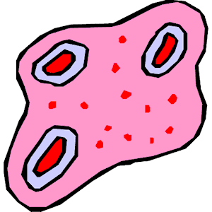 Biology - Bacteria 01