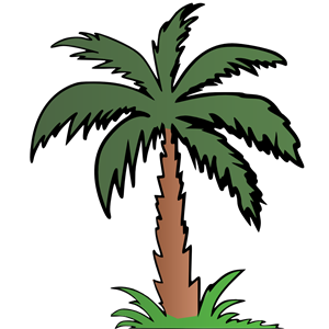 Palm Tree - Colour